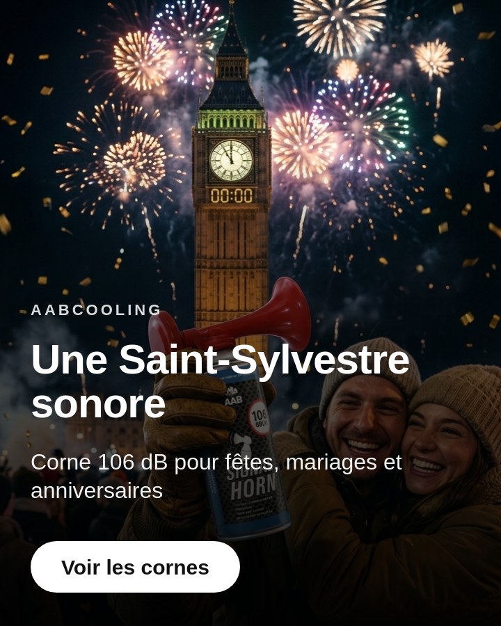 Une Saint-Sylvestre sonore